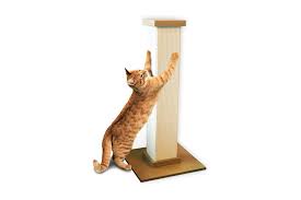 the 11 best cat scratching posts of