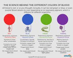 colour is blood gifographic for kids