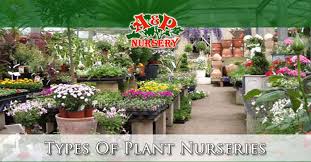 types of plant nurseries a p nursery