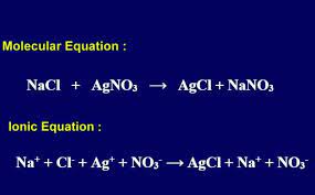 What Is An Ionic Equation And How Is It