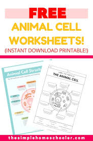 plant cell worksheets with answer key