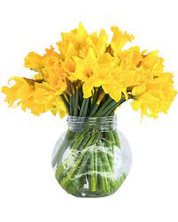 bunches of daffodils flowers by