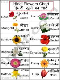 hindi flowers chart ह न द फ ल