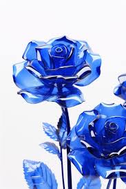 single blue rose images free