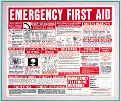 First Aid Wall Chart 22x26