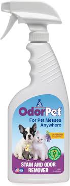 stain and odor remover 16 oz ready to