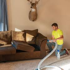 upholstery furniture cleaning