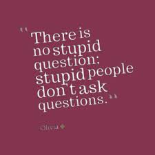 Then they laugh at you. Quotes About Stupid People 329 Quotes