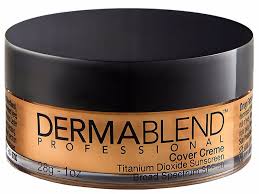 dermablend professional makeup s