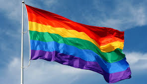 MoMA Acquires Rainbow Flag - artnet News