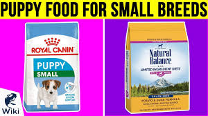 Your pet too wants to relish his food. 10 Best Puppy Food For Small Breeds 2019 Youtube