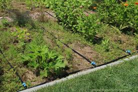 New Veggie Garden Irrigation Blithewold