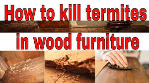 termites in wood furniture