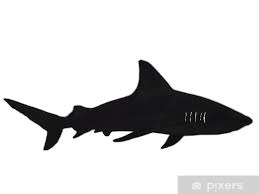 Wall Mural Shark Silhouette Pixers Co Nz