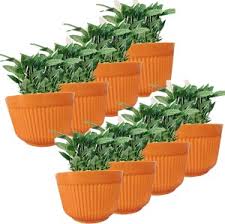 plant container set in india