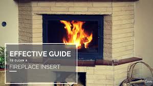 clean a fireplace insert arpin