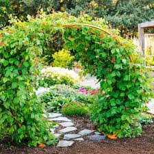 24 easy diy garden trellis ideas