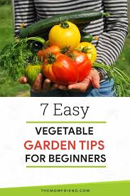 7 Easy Vegetable Garden Tips For