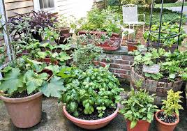Small Space Gardening Archives North