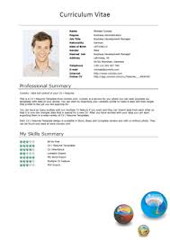 One Page Excellent Resume Sample for MBA   Sales   Marketing Template net