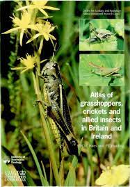 Atlas Of Graspers Crickets And