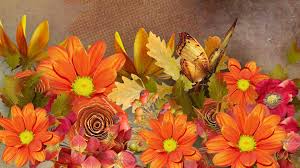 autumn flowers and erfly by madonna