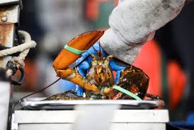 why whole foods pulled maine lobster