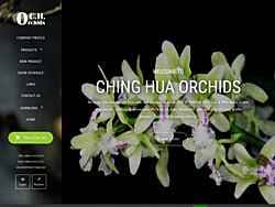 asia phalaenopsis vendor resources
