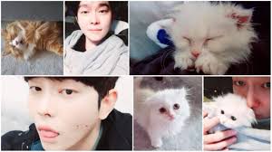 And the first year city of la license fee for dogs. South Korean Actor Attacked By Netizens For Buying Controversial Cat