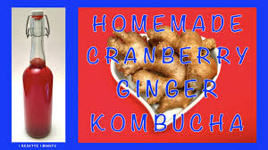 homemade cranberry ginger kombucha