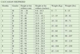 Caucasian Shepherd Growth Chart Height And Weight Tables