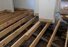 wood rot crawl e moisture repairs
