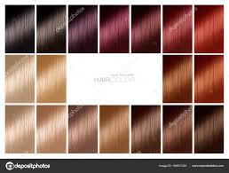Hair Colour Samples Color Chart For Hair Dye Tints Hair