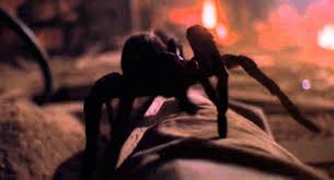 Wonder egg priority episode 1. Arachnophobes Beware The Most Nightmarish Spider Scenes In Horror Bloody Disgusting
