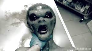 Horrorporn alien