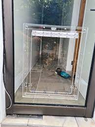 Pet Doors In Glass Installation Sydney