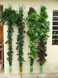 Garden Diy Indoor Vegetable Gardening
