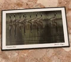vintage don li leger 1983 canada geese