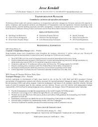 Cab Driver Resume   Resume Cv Cover Letter Free Resume Example And Writing Download