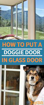 How To Put A Dog Door In A Glass Door