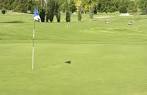 Sun Willows Golf Course in Pasco, Washington, USA | GolfPass