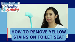 Remove Yellow Stains On Toilet Seat