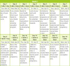 Pregnancy Calendar For Ideas Of Important Dates In Pregnancy Babie