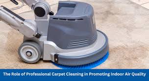 professional carpet cleaning for better