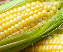 y sweet corn turns up the heat this
