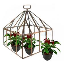 square copper and glass mini greenhouse
