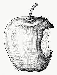Fruit collection in black and white 9 sketch drawing of different kinds of fruits. Hand Drawn Bitten Apple Fruit Transparent Png Free Image By Rawpixel Com Drawing Apple How To Draw Hands Apple Sketch