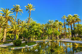 Book your tickets online for the top things to do in elche, spain on tripadvisor: Discovering Elche Murcia La Manga The Wedery