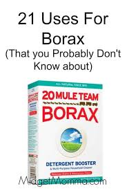 21 uses for borax that you probably
