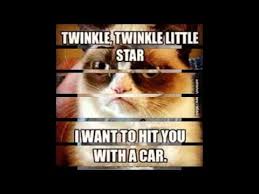 Grumpy cat memes crazy memes on grumpy cat expression all. 46 Super Funny Grumpy Cat Memes Clean World Cat Comedy